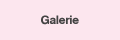 Galerie